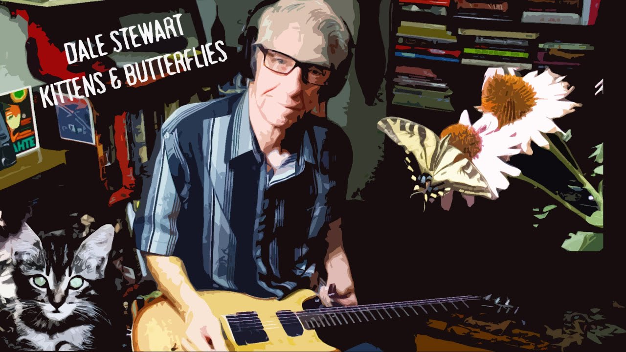 Kittens & Butterflies