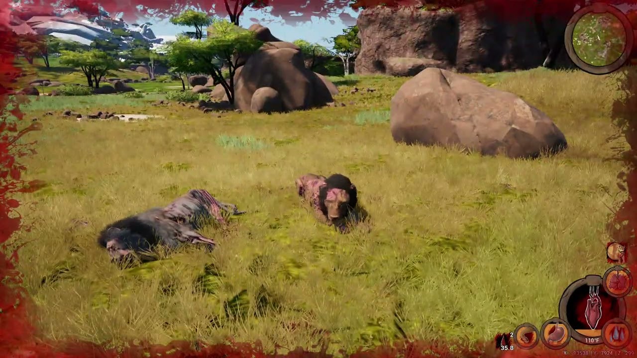 African Lion Vs Barbary Lion