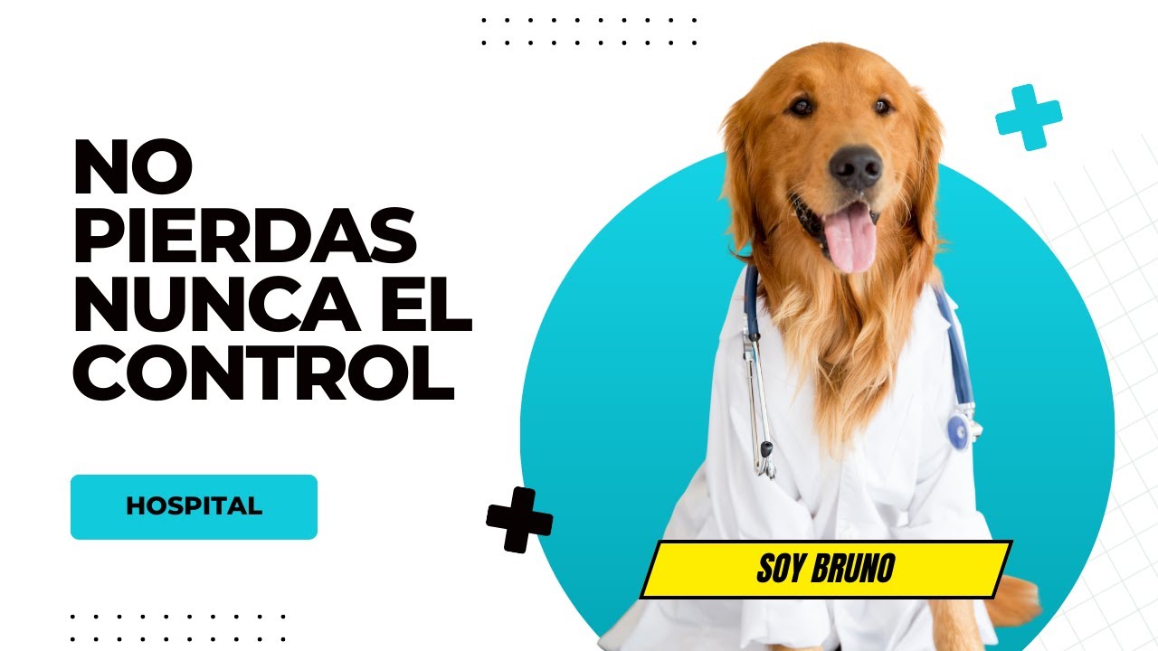 Hospitalización en Mi Vete App | Seguimiento clínico de internaciones 🏥