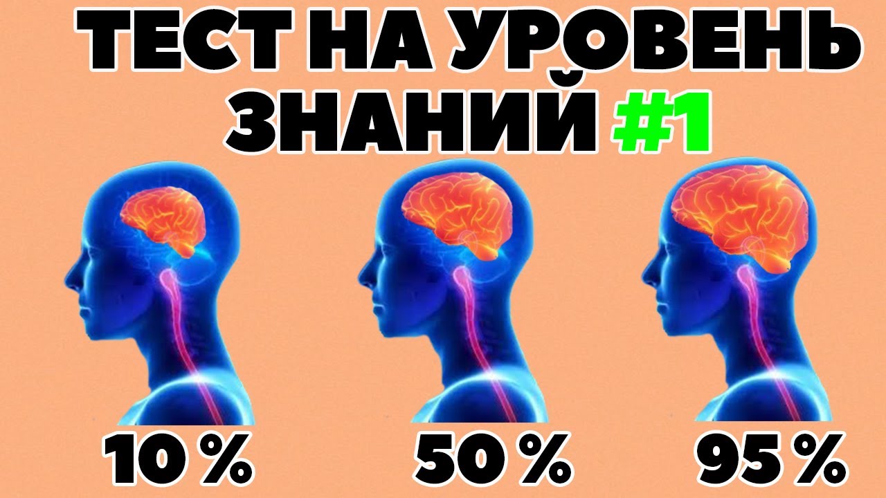 ТЕСТ НА УРОВЕНЬ ЗНАНИЙ (выпуск - 1)