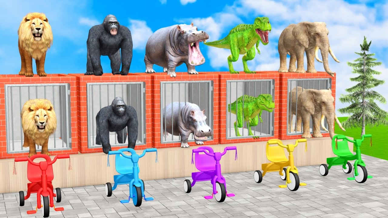 Long Slide Game With Cow Elephant Gorilla Hippopotamus Tiger - 3d Animal Game - Funny 3d Animals