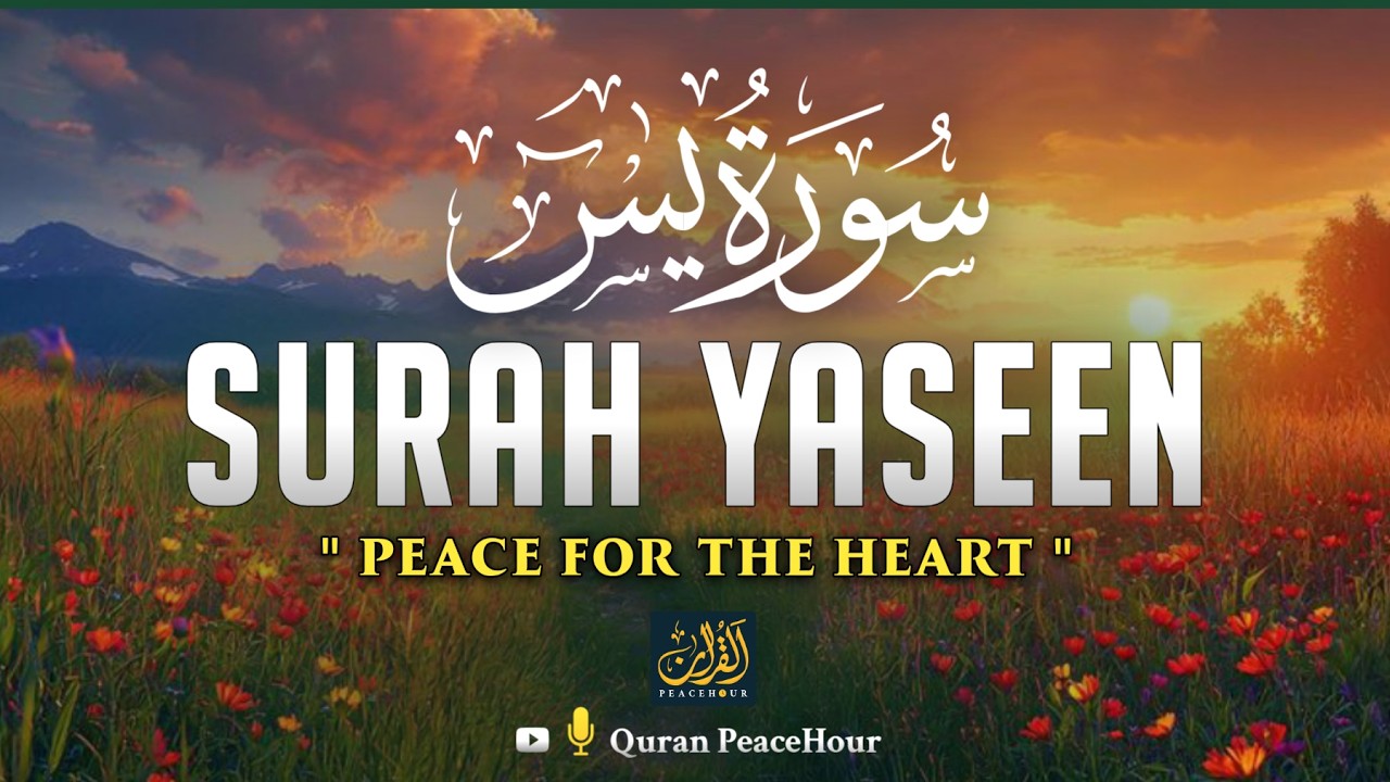 Surah Yaseen | سورة يس | Peaceful Quran Recitation to Relax the Heart and Strengthen Faith