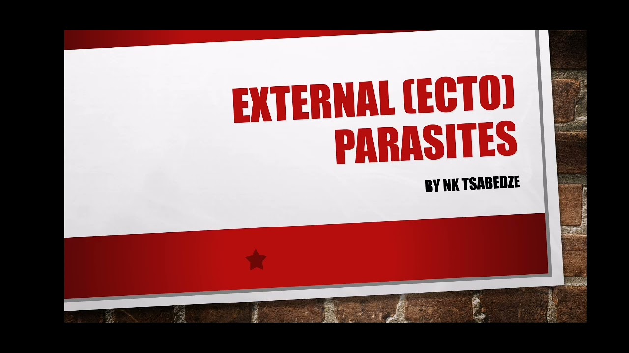 Ticks (External Parasites) Grade 12 Agricultural Sciences