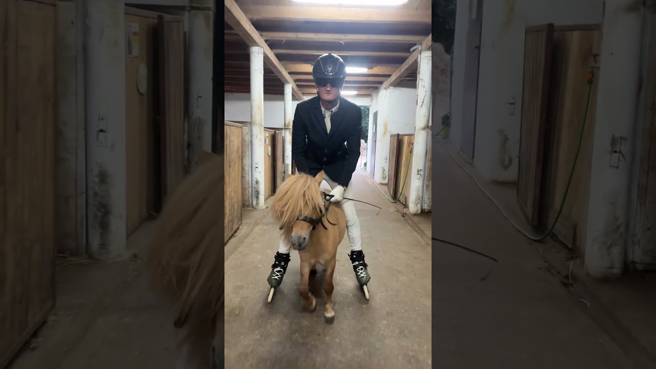 Wyślij osobie, kt&oacute;ra ma kupić Ci kucyka! ✨ #horse #konie #zwierzaki #equestrian #лошадки #koń #konno
