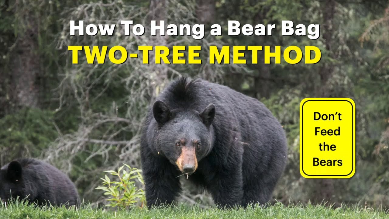 How to Hang a Bear Bag