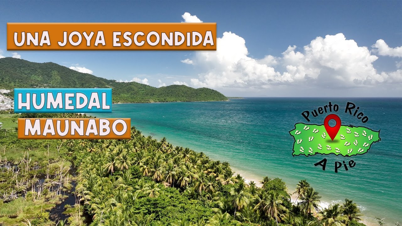 ¿Qué es un Humedal?, Una Joya 💎escóndida, No creerás como se unen dos cuerpos de aguas diferentes.