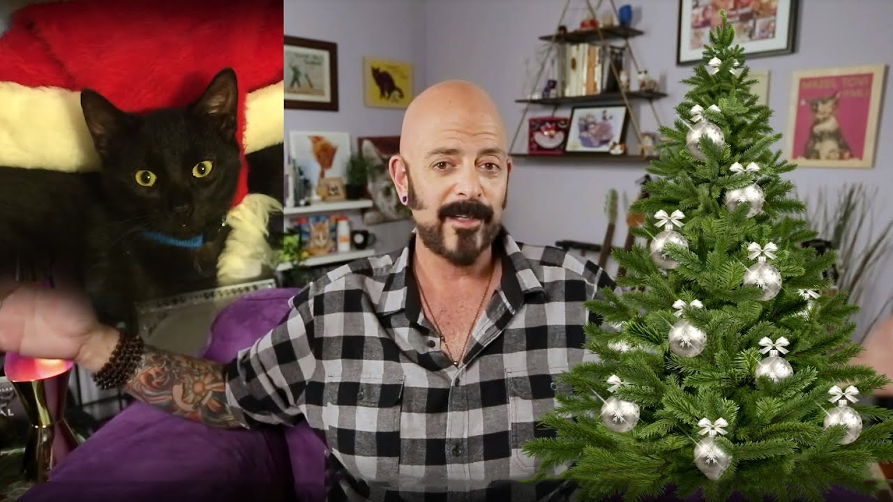 Holiday Survival Guide for Your Cats