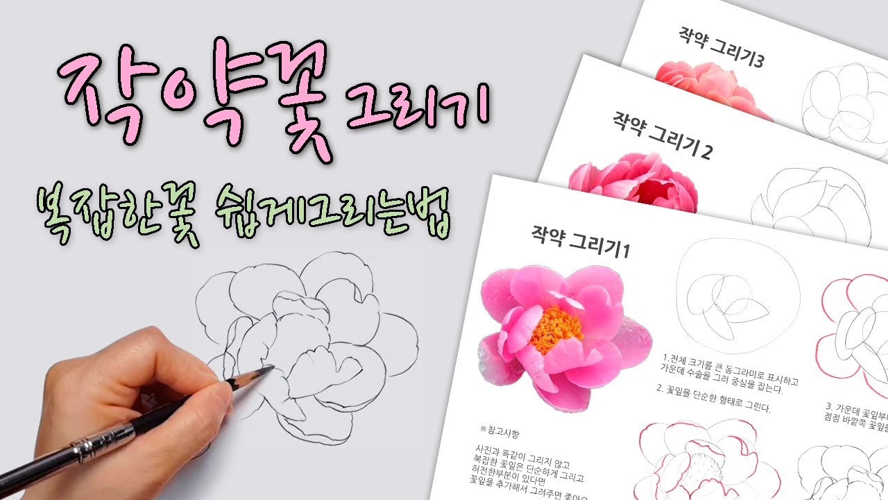 [FineArtLab]작약꽃 그리기/ 복잡한꽃 쉽게 그리는법/Peony Tutorial