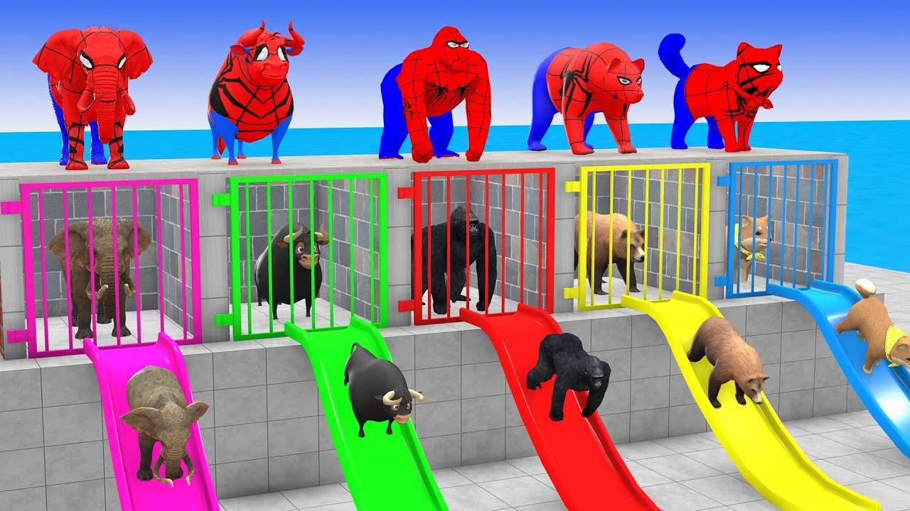 Long Slide Game With Elephant Gorilla Buffalo Hippopotamus Tiger 3d Animal Game Funny 3d Animals