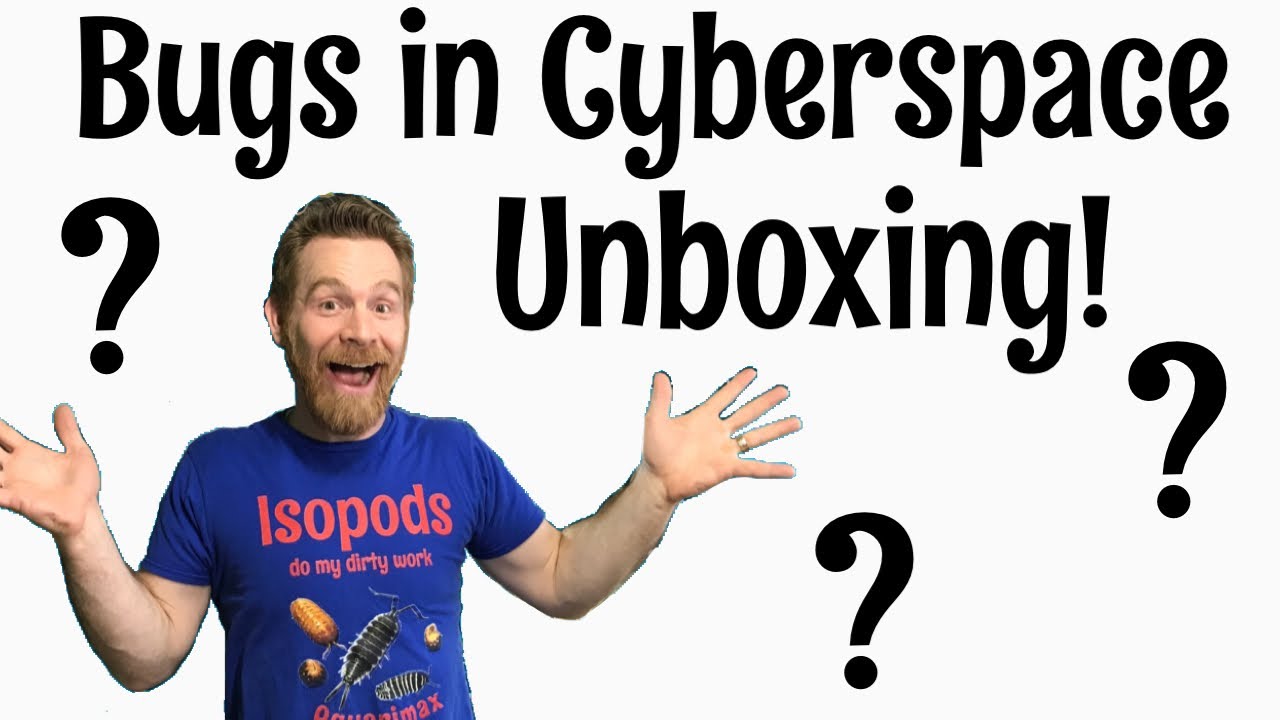 Unboxing Invertebrates from Bugs In Cyberspace!