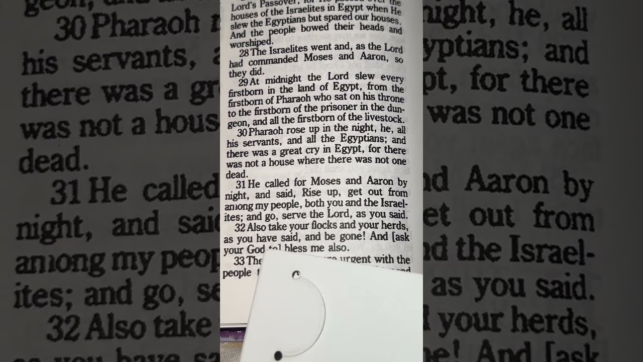 🌱asmr whisper Bible reading (Exodus 12)✨Amplified Version