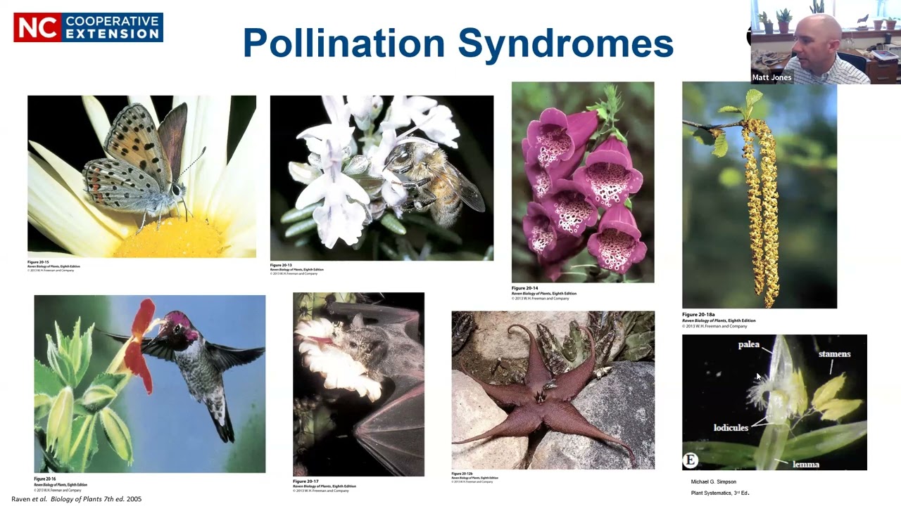 Part 3: Reproductive Morphology 2026