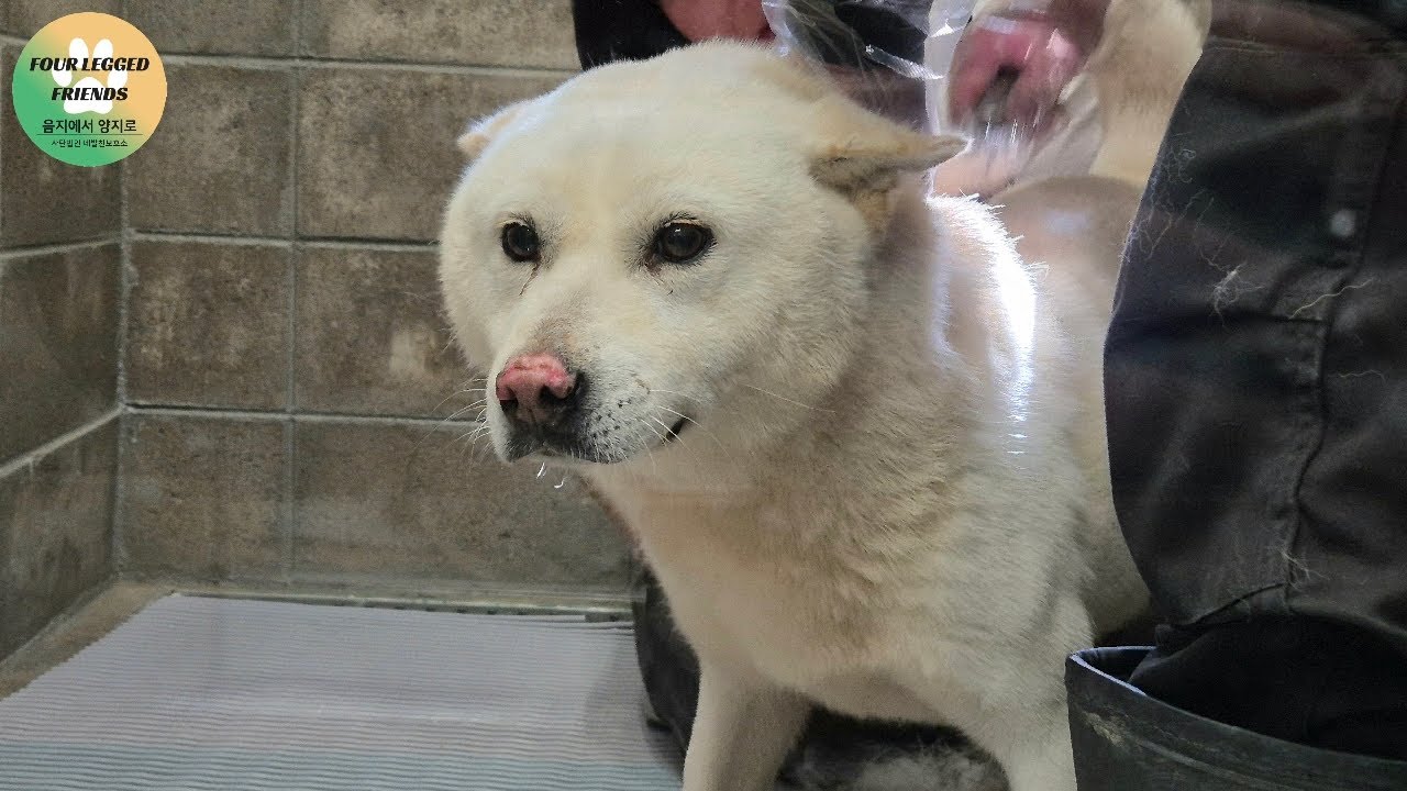 양반아 목간 받고 진정한 양반이 돼 보자