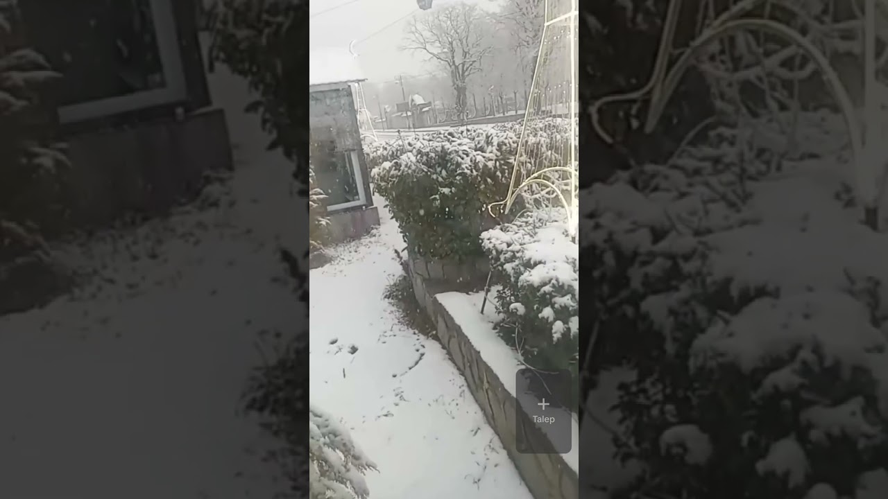 QAR YAĞIR QARA QURBAN OLUM 🤣🤣