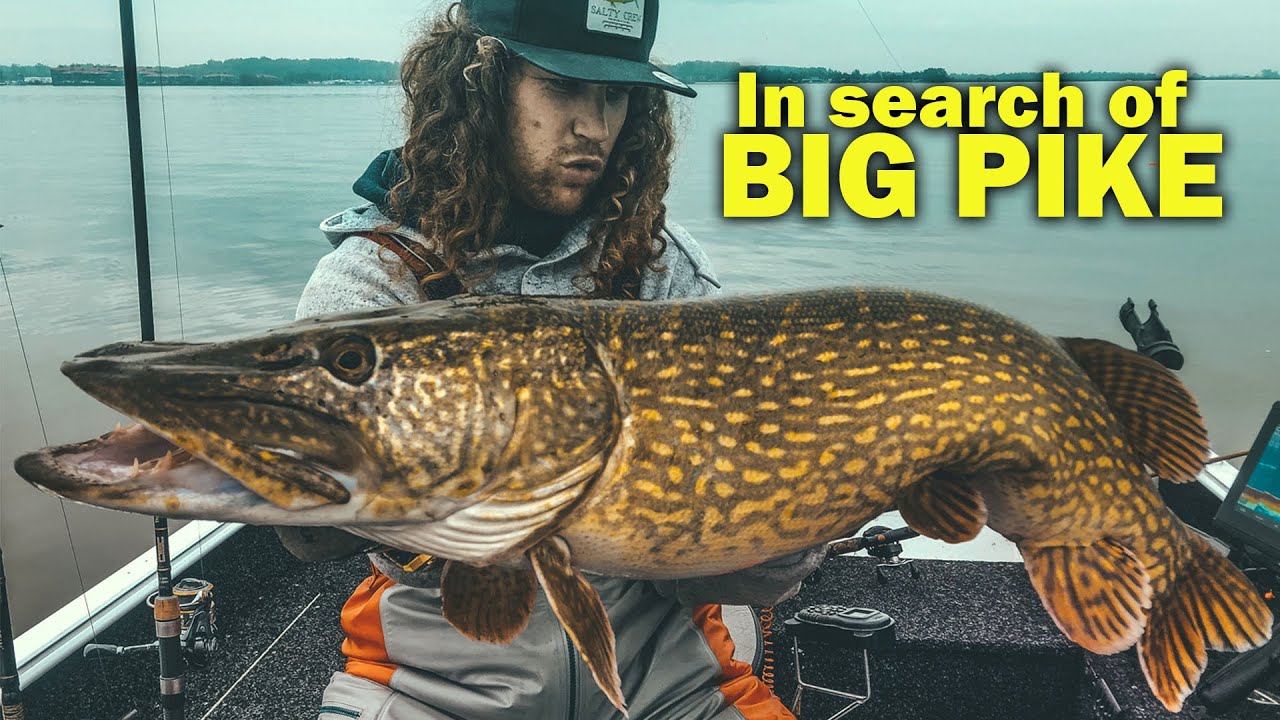 Dusk till Dawn Fishing - in search of BIG pikes