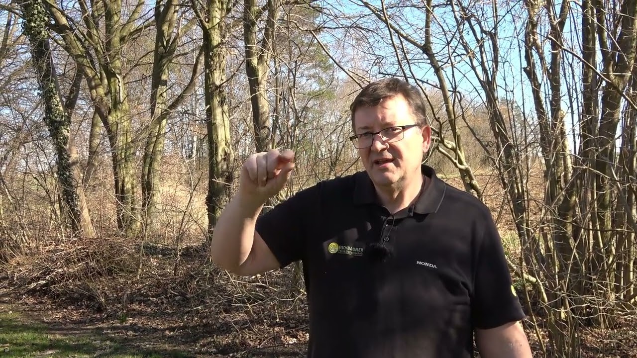 Rasenprobleme durch Rasen-Verfilzung Schatten Moos, Mulchen was sollte man beachten?