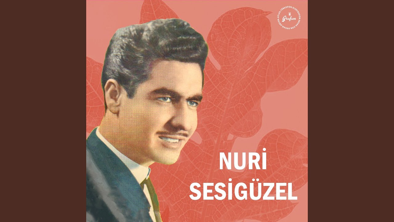 Aşam Dedim Aşamadım Dağları