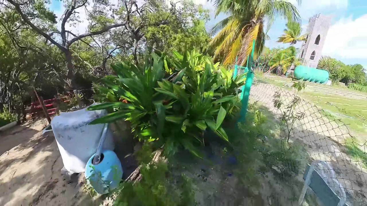TRACKING a CROCODILE in Casa Del Campesino.#cuba #memories