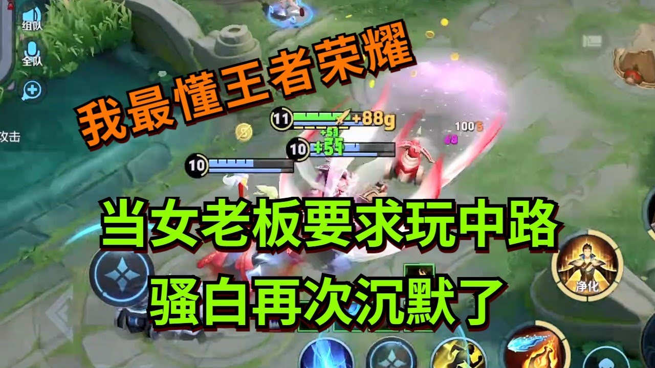 【王者荣耀骚白】当女老板要求玩中路 骚白再次沉默了