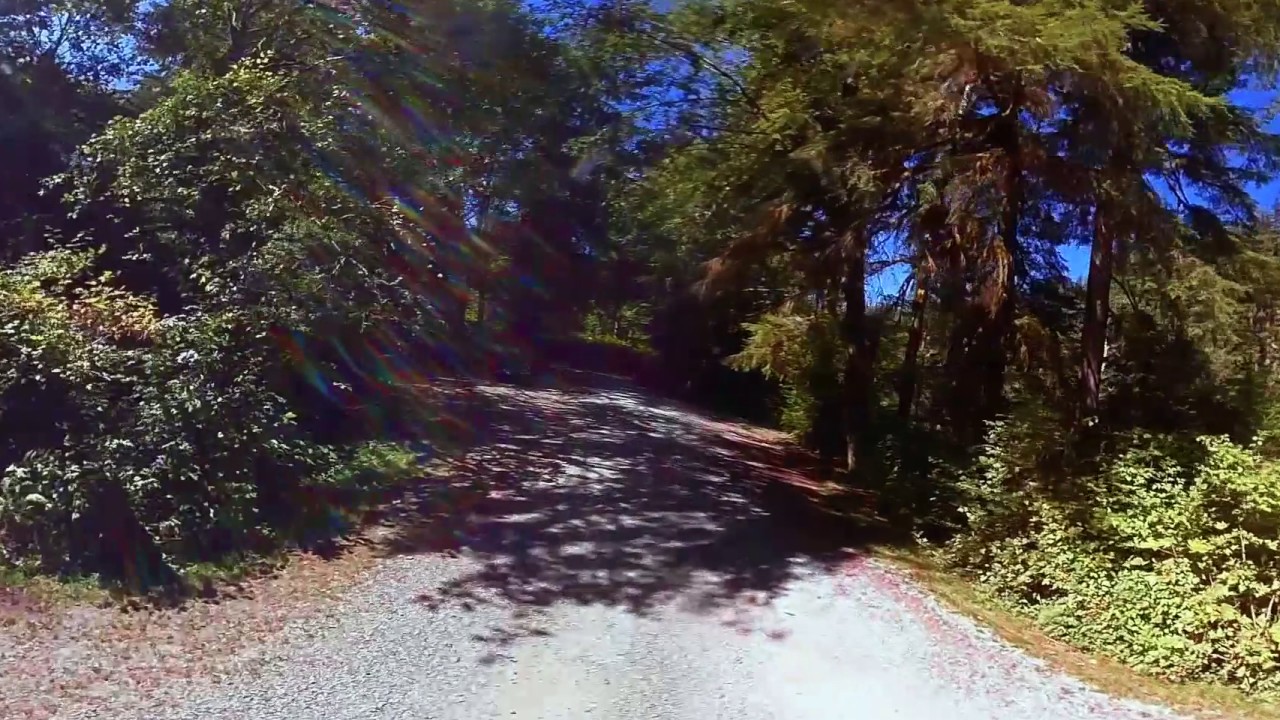 Hoh Oxbow Campground Forks Washington - 360 Video Virtual Tour 4K