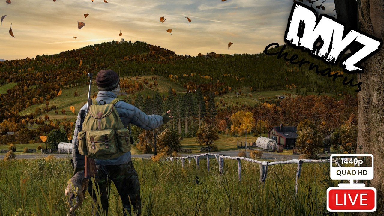 Solo Chernarus Survival | DayZ Live Stream 1440p