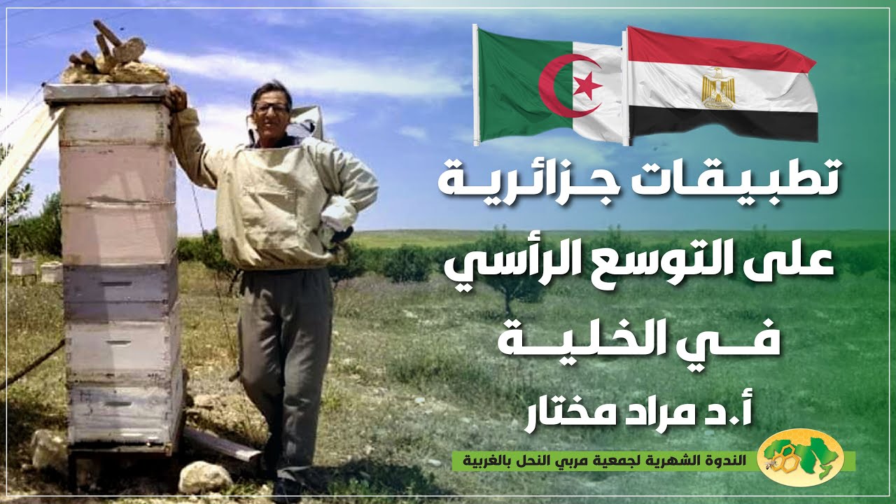 تطبيقات جزائرية على التوسع الرأسي في الخلية