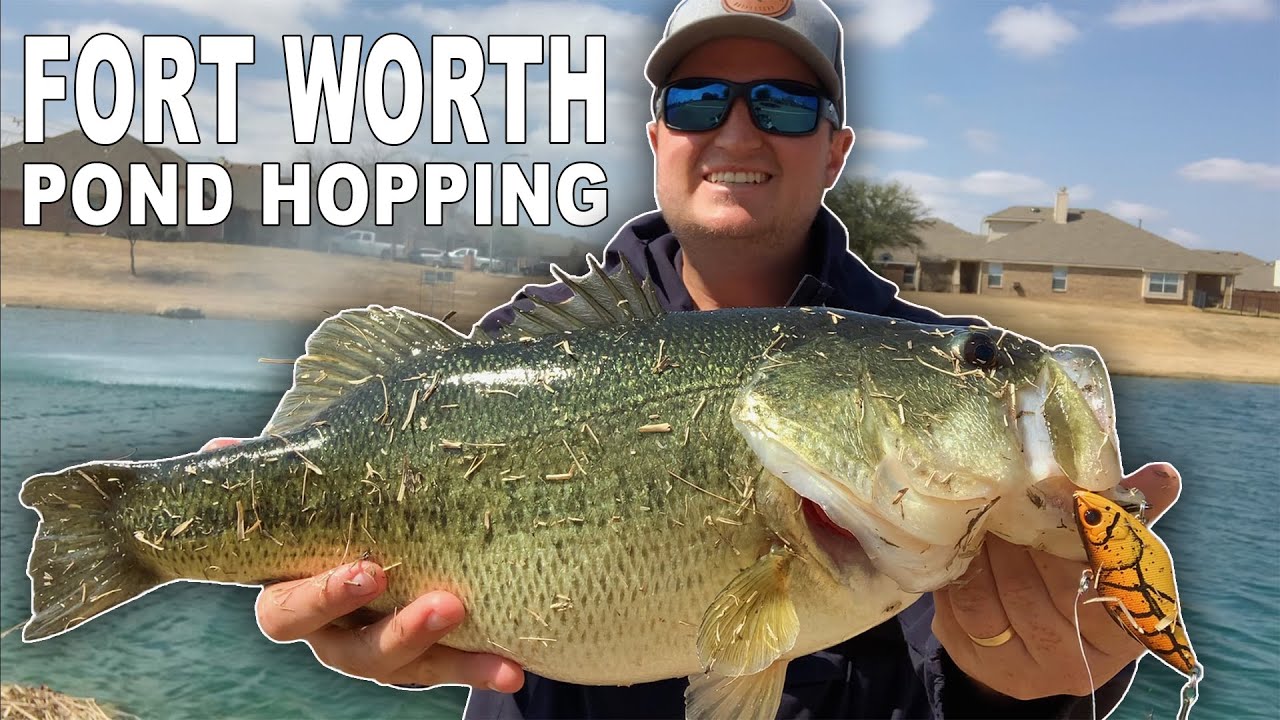 Pond Hopping Fort Worth, Texas! Spring Bass Fishing