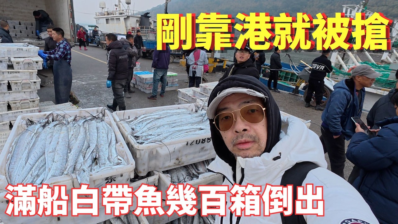 太狂了！寧波桐照漁港炸了？漁船剛到港現撈現補數百箱白帶魚被瘋搶光光！＃浙江寧波市＃桐照漁港