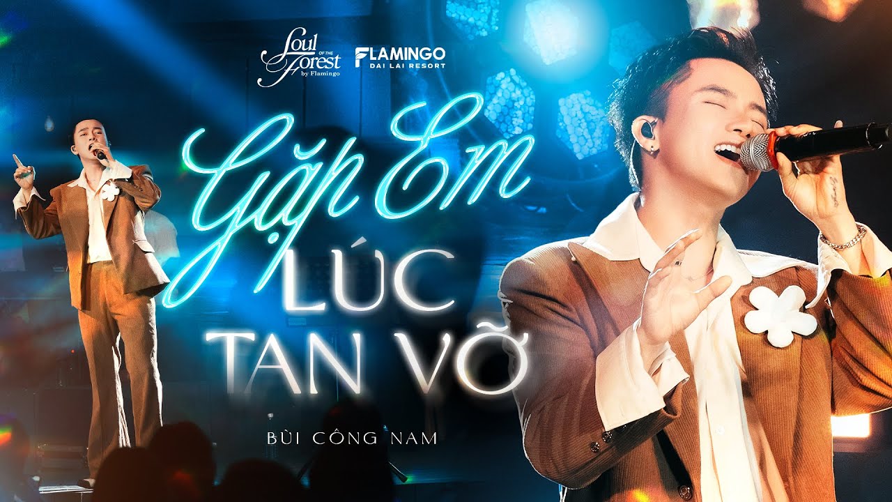 GẶP EM LÚC TAN VỠ - Bùi Công Nam | Live at Soul of The Forest