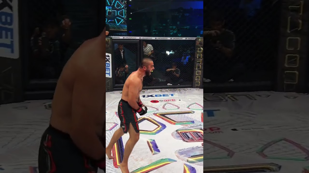🇺🇿 Али Реджабаев мощно нокаутировал! #octagon87