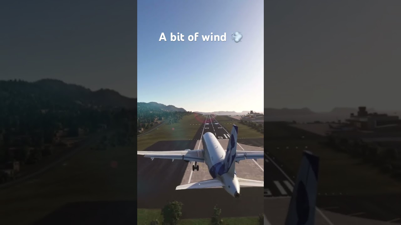 Airbus A320 neo loads of wind crazy landing #foryou