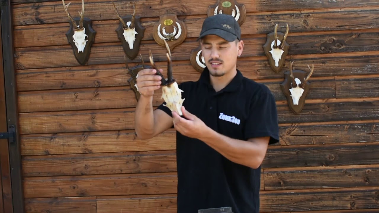 Préparer son trophée de chasse