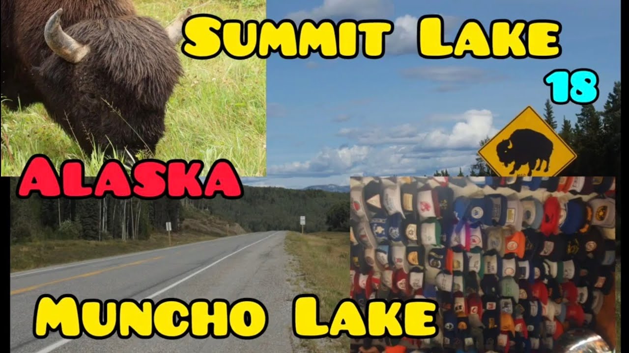 Alaska18 - Bizoni