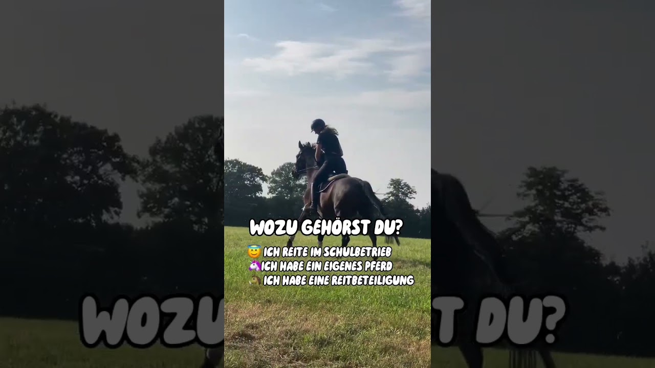 Welcher Pferde-Typ bist du? Welcher Emoji passt zu dir? 🐴😍