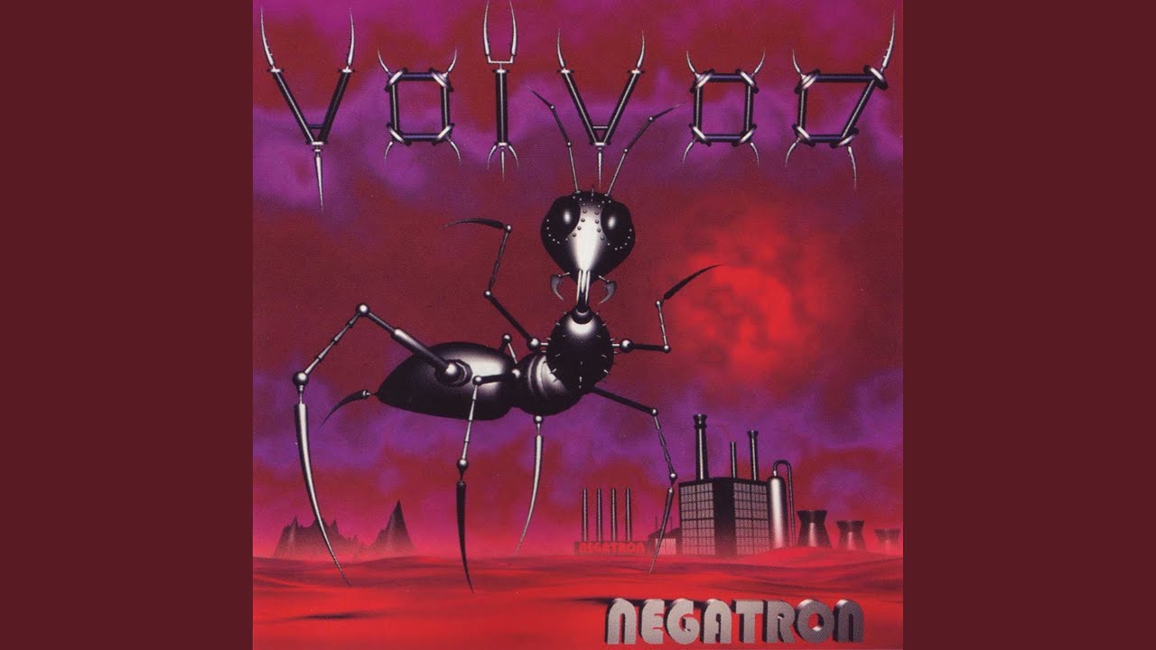 Insect