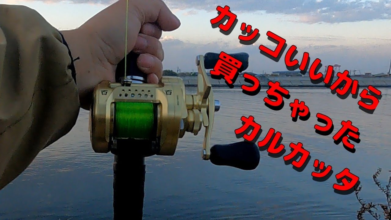 【両軸遠投カゴ釣り】シーホーク２種VSカルコンMD
