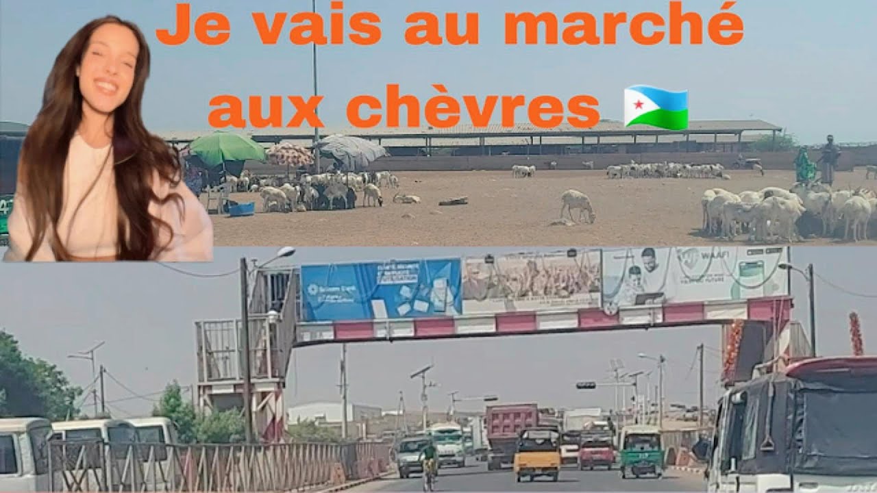 La vieille chanson de Djibouti est si bonne à écouter en conduisant au marché aux chèvres -Djibouti.