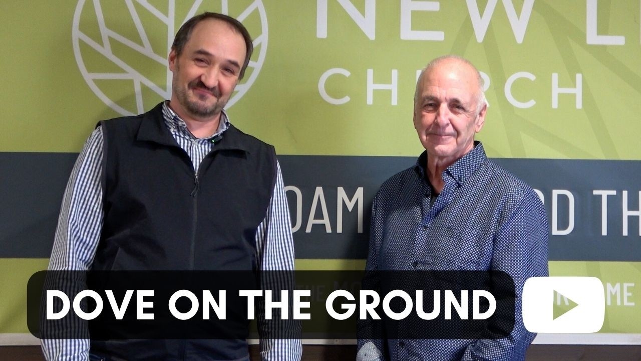 New Life Church | DOVE on the Ground