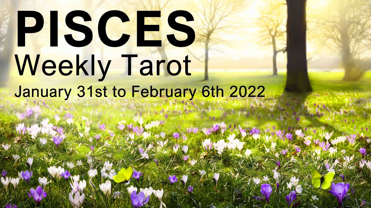 PISCES WEEKLY TAROT READING 