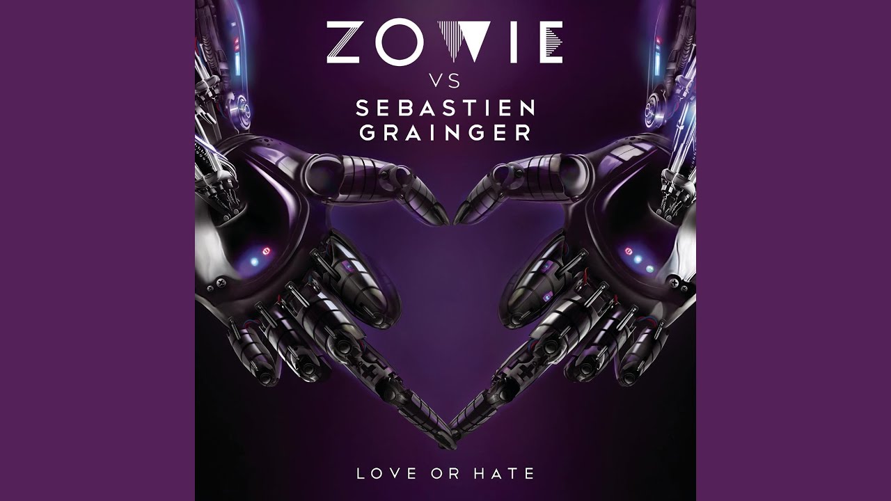 Love Or Hate (Zowie Vs. Sebastien Grainger)