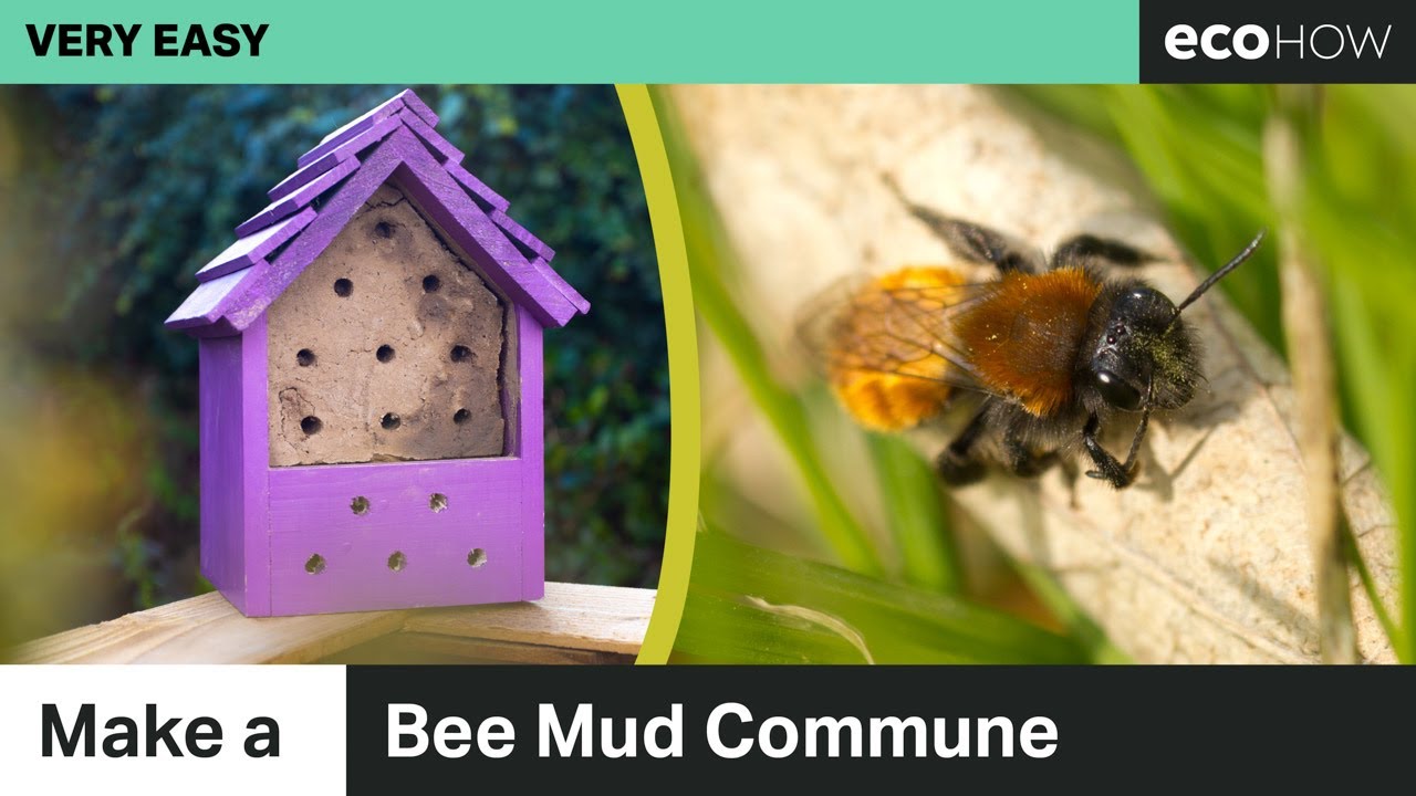 Make a Bee Mud Commune