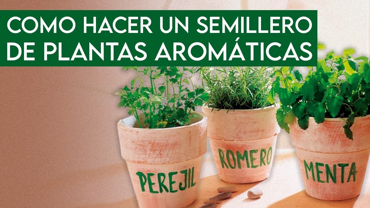 ¿Cómo hacer un SEMILLERO de PLANTAS AROMÁTICAS para tu Huerto Ecológico?