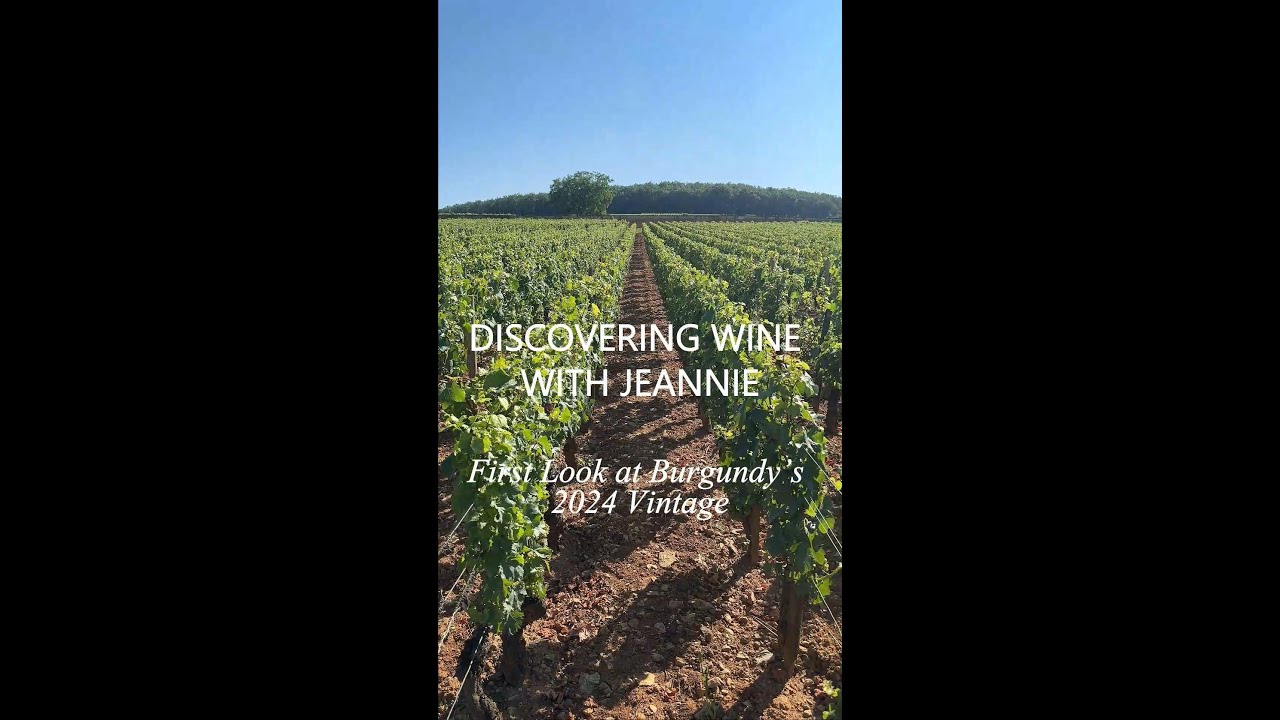First Look at Burgundy’s 2024 Vintage