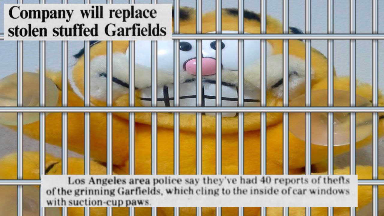 The Most Infamous Garfield Plush (40+ Car Thefts)