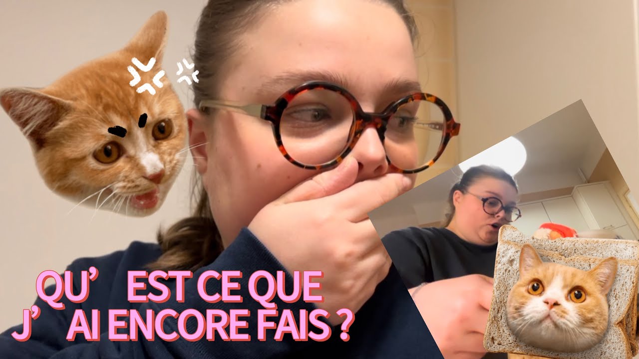 QU’EST CE QUE J’AI ENCORE FAIT ?