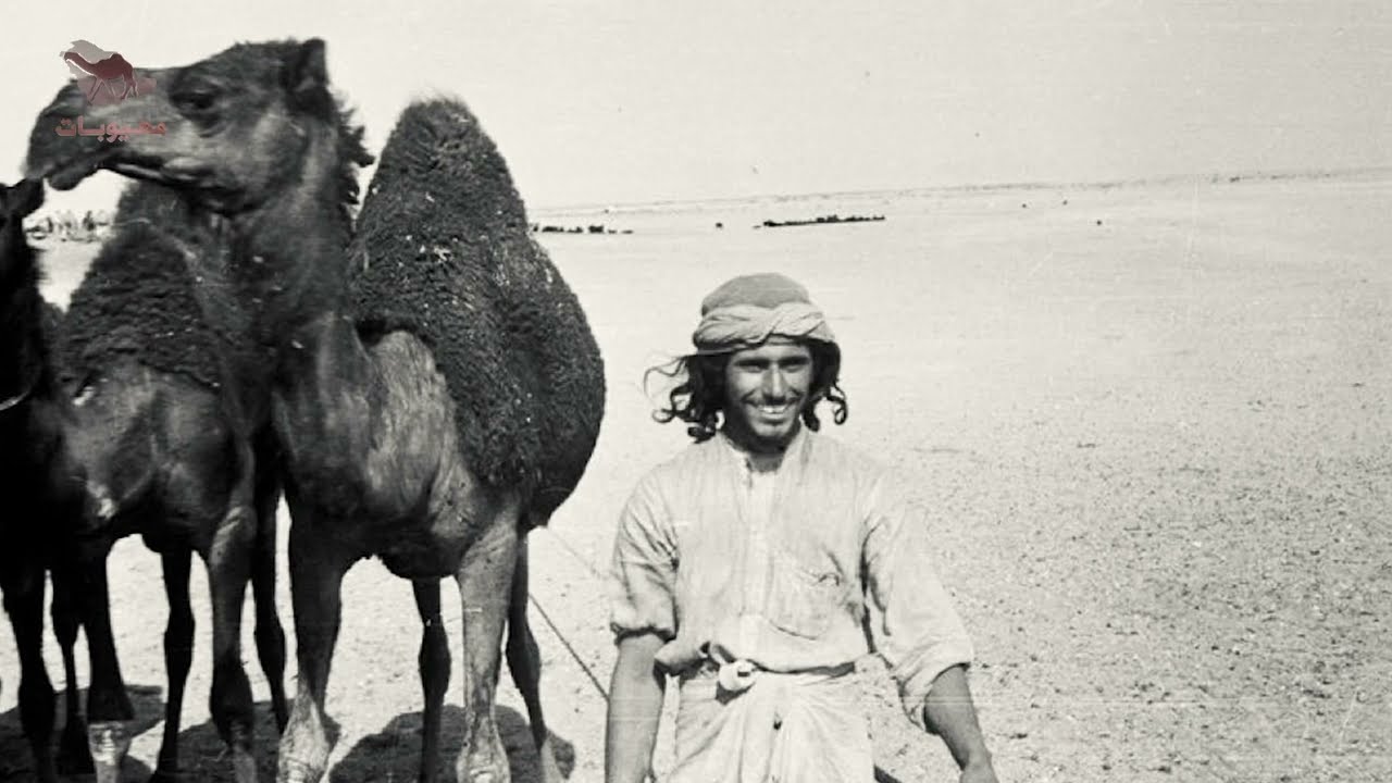 ||حفل بن جدعان|| فلم وثائقي علاقة الملوك بالإبل || مهيوبات عتيبة