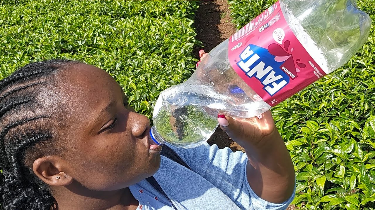 Village life ,tea picking  in kirinyaga #villagelife #villagelifestyle #viral #christamas 