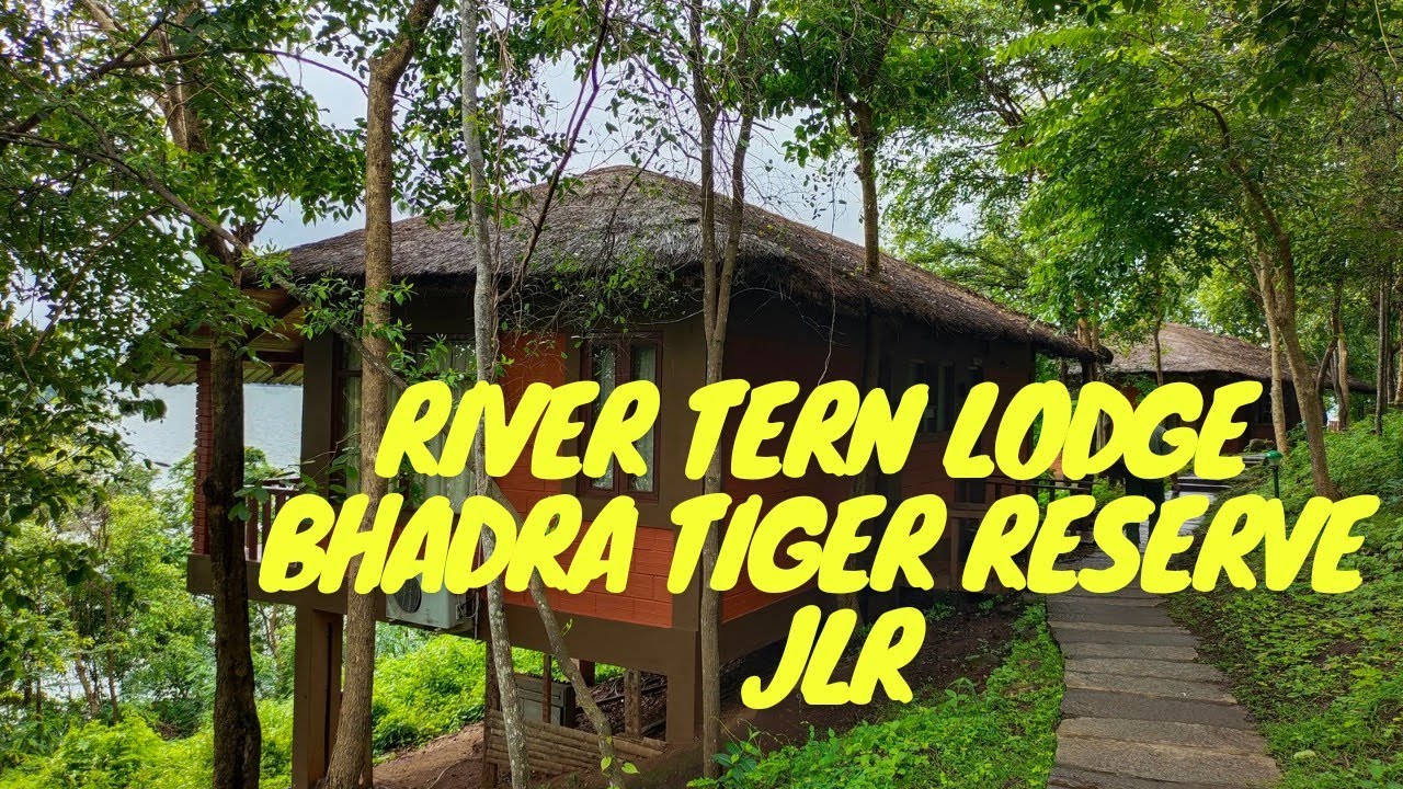 River Tern Lodge, Bhadra Tiger Reserve,Jungle Lodges and Resorts Experience,Part-1