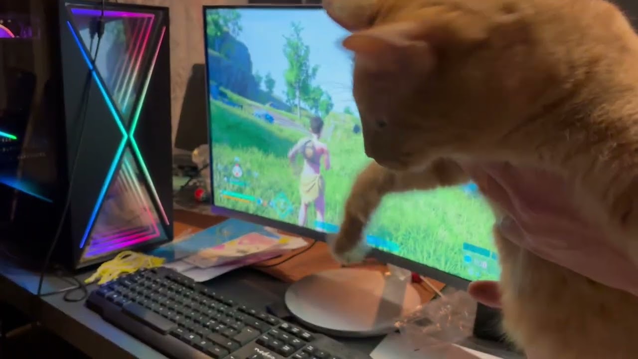 Väinö pelaa palworldia
