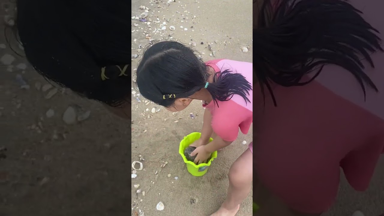 Đi theo cô gái đi bắt ngao ở bờ biển Trà cổ bãi biển dài nhất Việt Nam nguyên sơ 